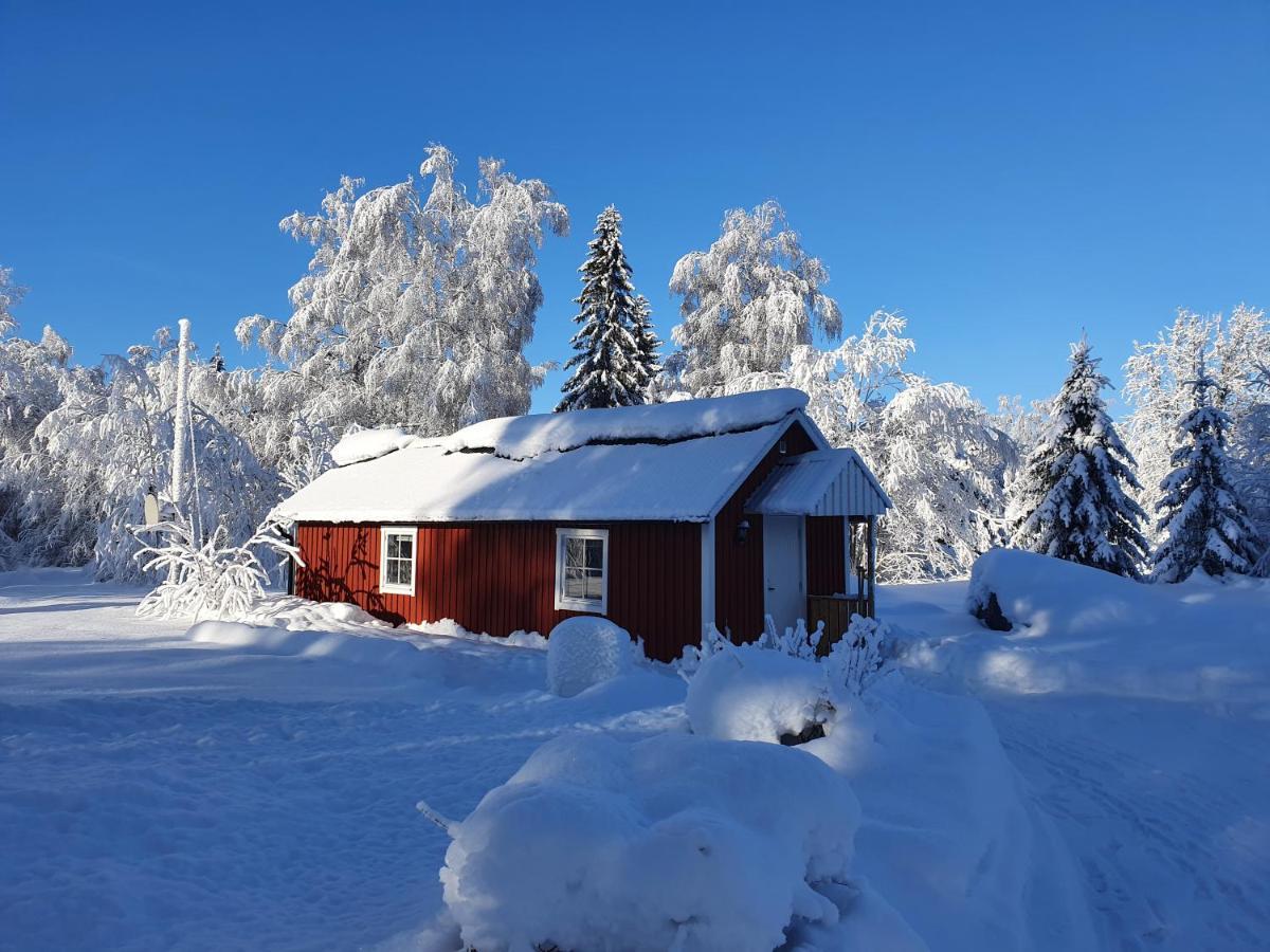 Luxury Guesthouse 'Lodge Lagom' - Hammarstrand-Jaemtland Exterior photo